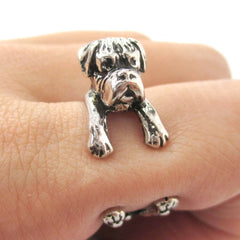 Boxer 2024 dog ring